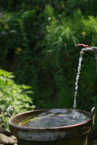 pipe, water, plumbing, industrial, construction, metal, nature, leak, pipeline, plumbing pipes, power, home, waste, piping, old, liquid, supply, green home, green construction, green metal, green power, green old, green industry